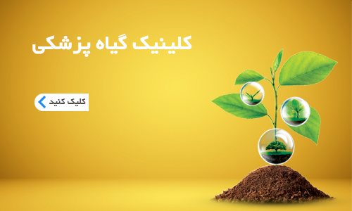 صفحه اصلی
