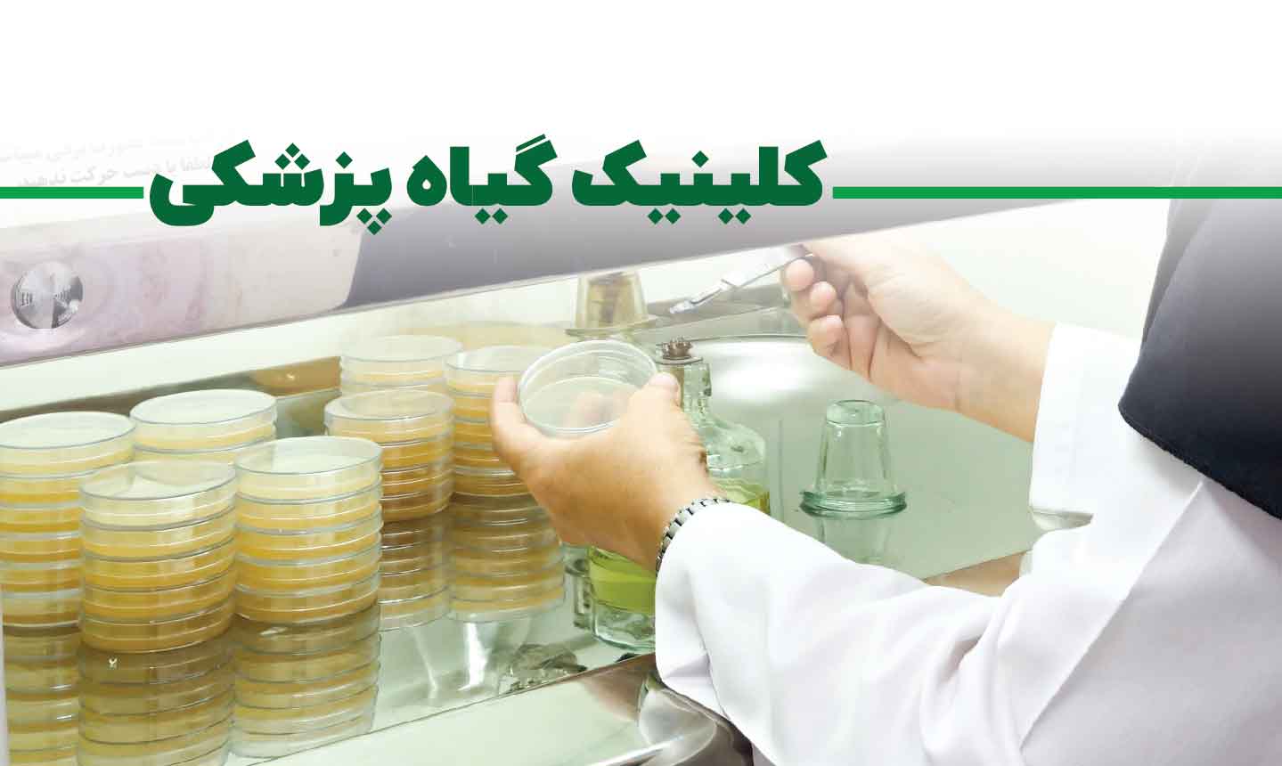 صفحه اصلی