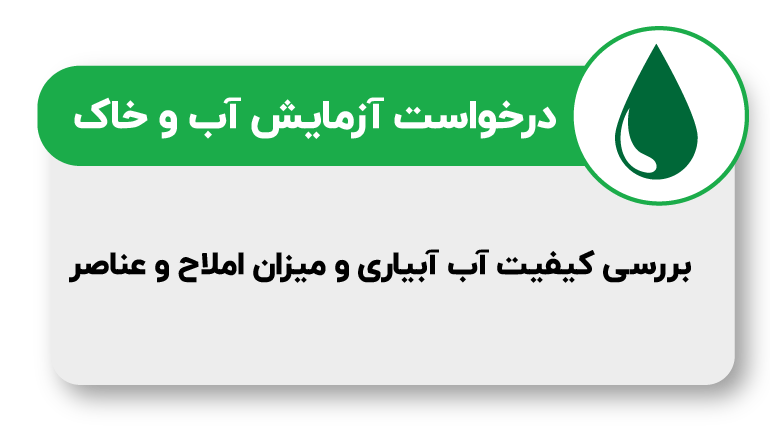 کلینیک گیاه پزشکی