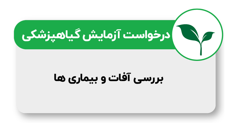 کلینیک گیاه پزشکی