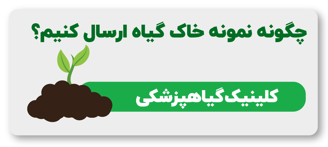 کلینیک گیاه پزشکی
