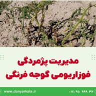 اطلاعیه شماره 67