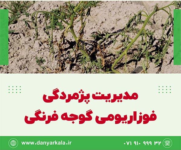 اطلاعیه شماره 67